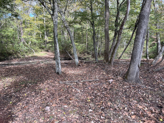 Listing Image 31
