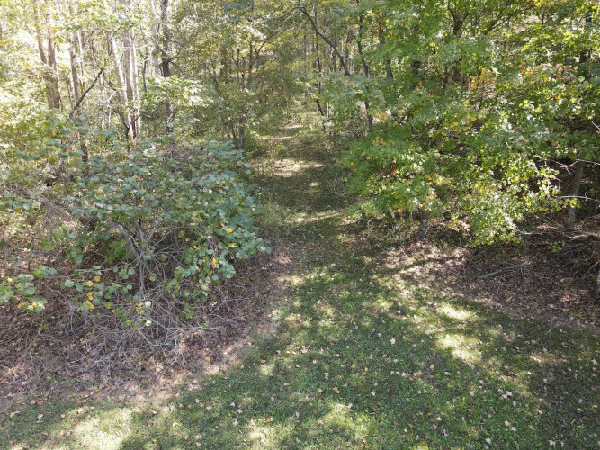 Listing Image 32