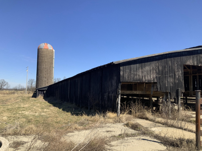 Listing Image 11
