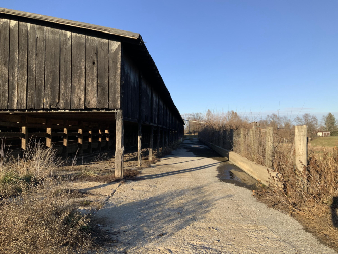 Listing Image 16