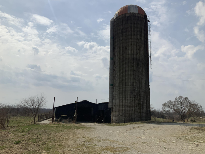 Listing Image 19