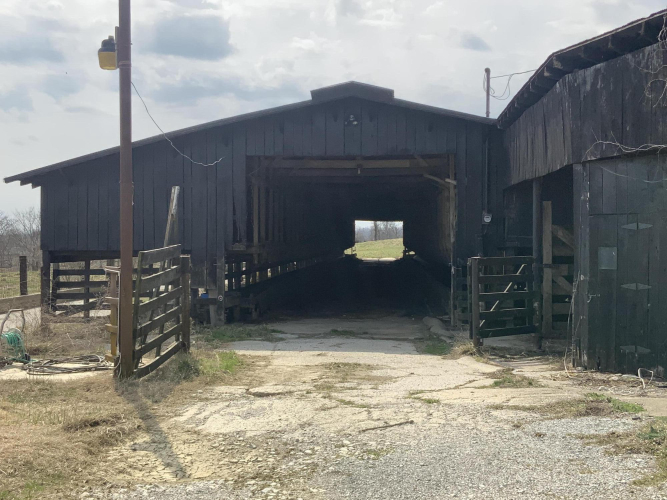 Listing Image 21