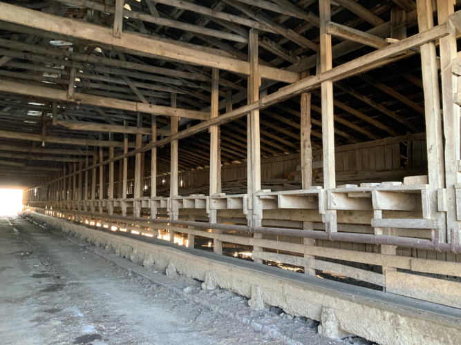 Listing Image 23