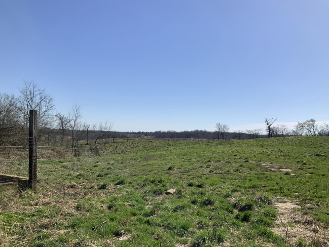 Listing Image 24