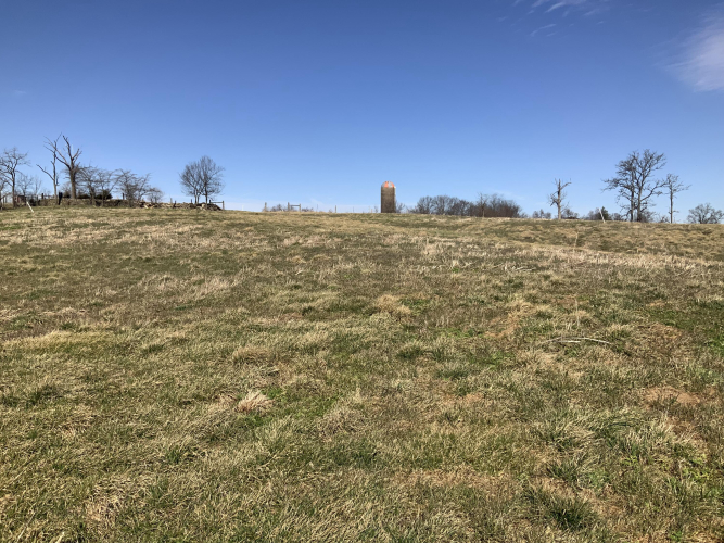 Listing Image 25