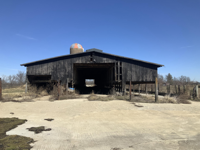 Listing Image 26