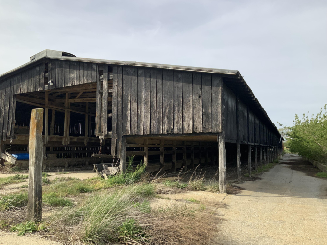 Listing Image 30