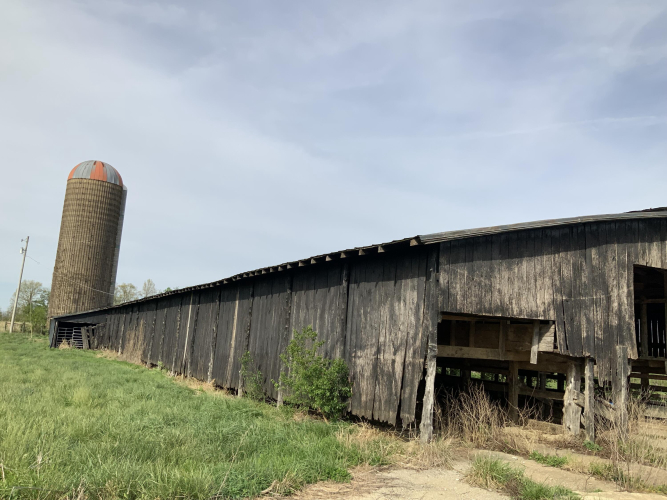 Listing Image 31