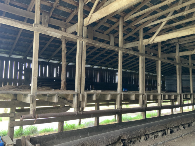 Listing Image 33