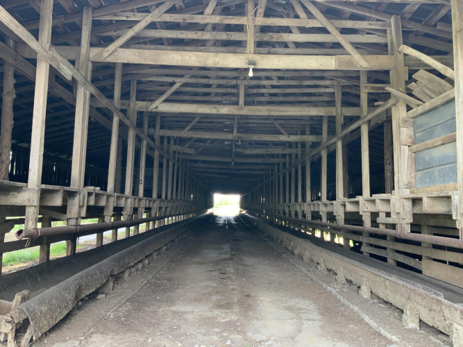 Listing Image 34