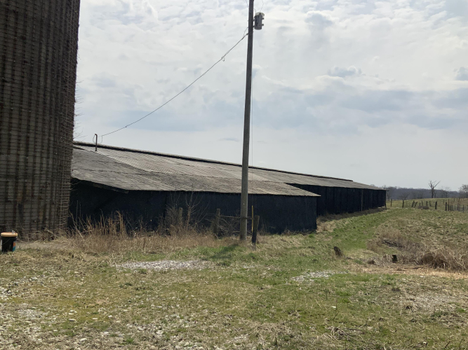 Listing Image 10