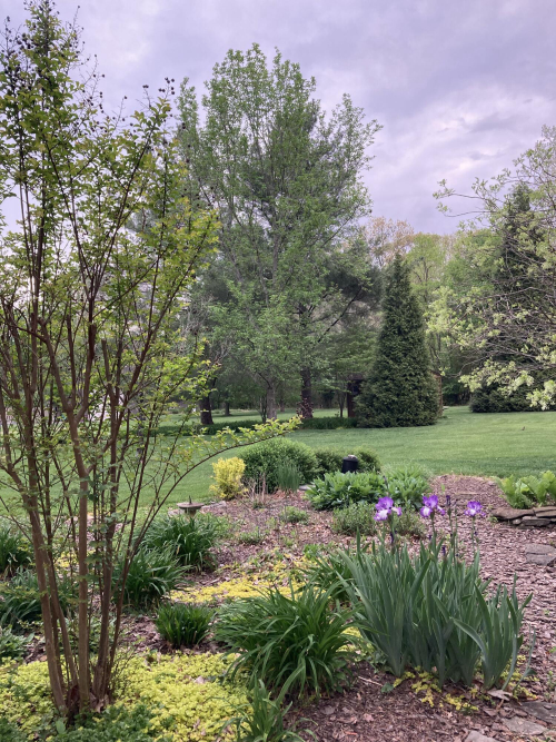 Listing Image 39