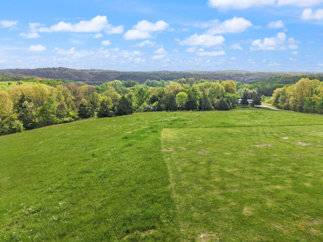 Listing Image 175