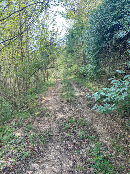 Listing Image 11