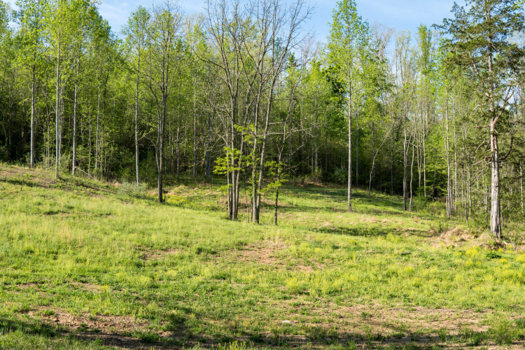 Listing Image 18