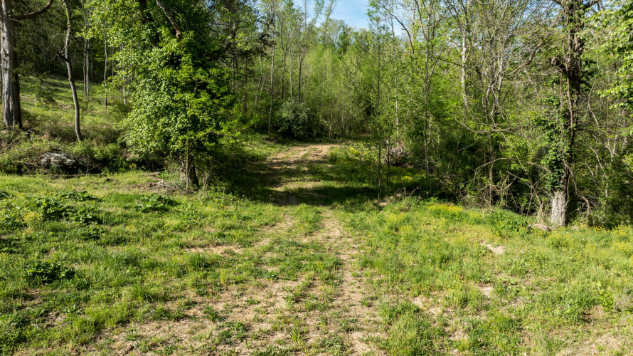 Listing Image 27