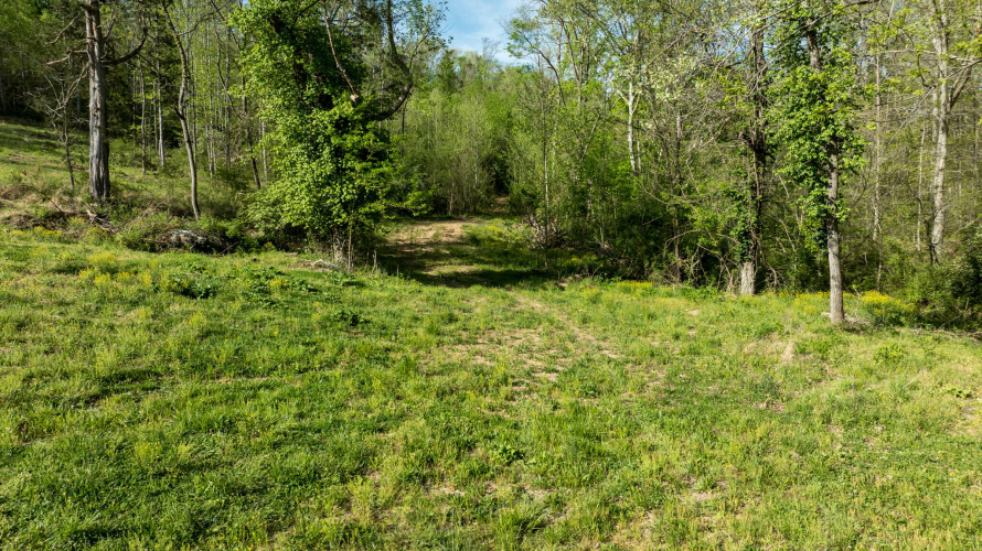 Listing Image 28