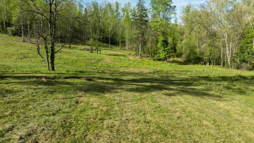 Listing Image 29