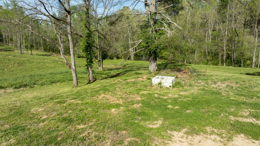Listing Image 30