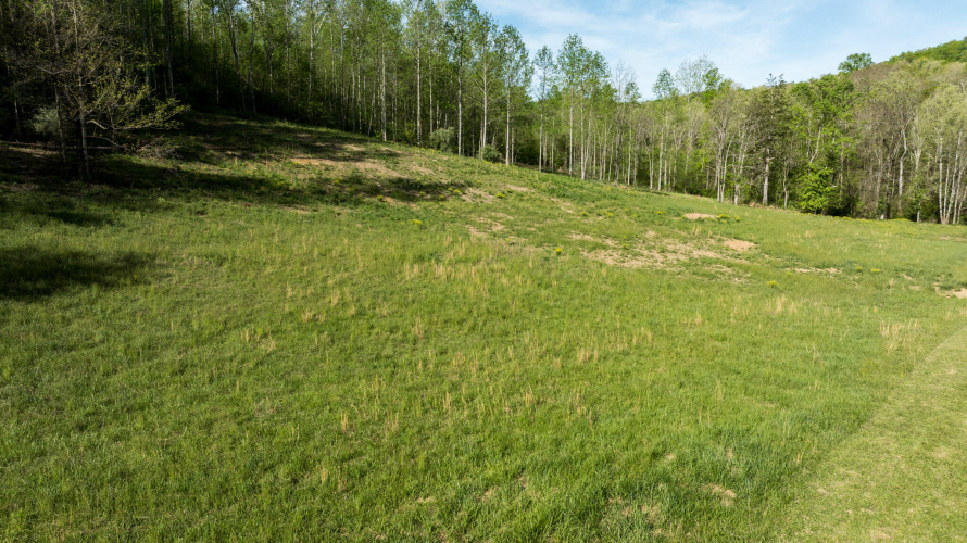 Listing Image 33