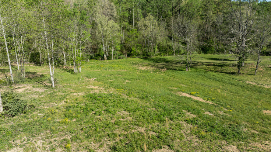 Listing Image 36