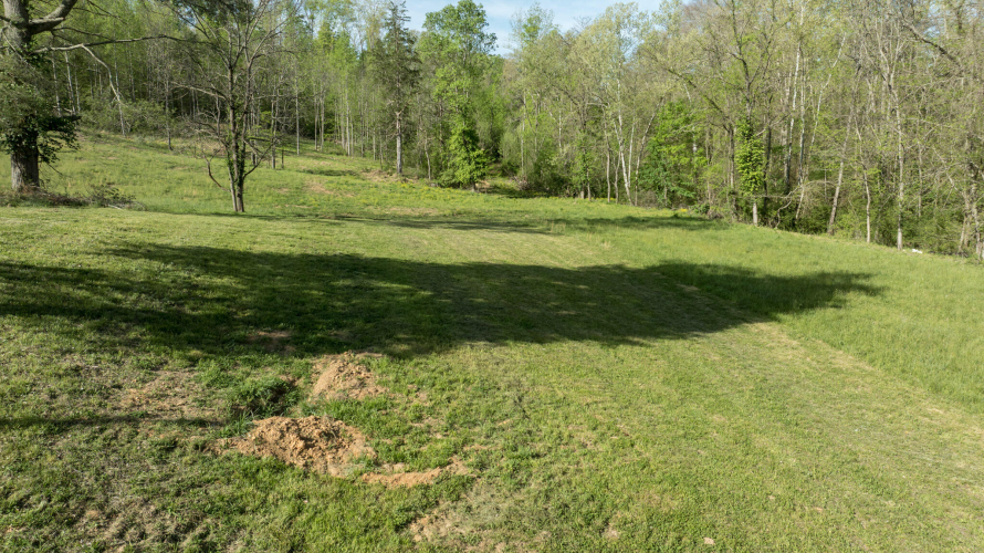 Listing Image 38