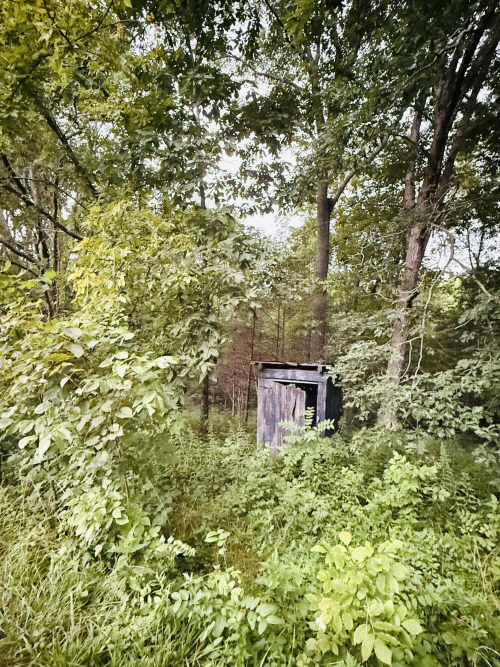 Listing Image 103