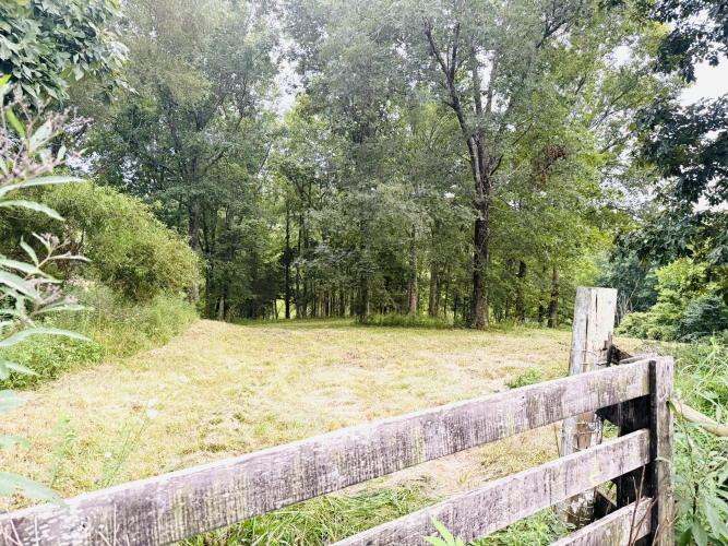 Listing Image 104