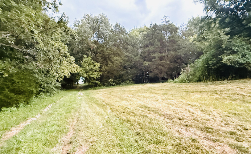 Listing Image 73