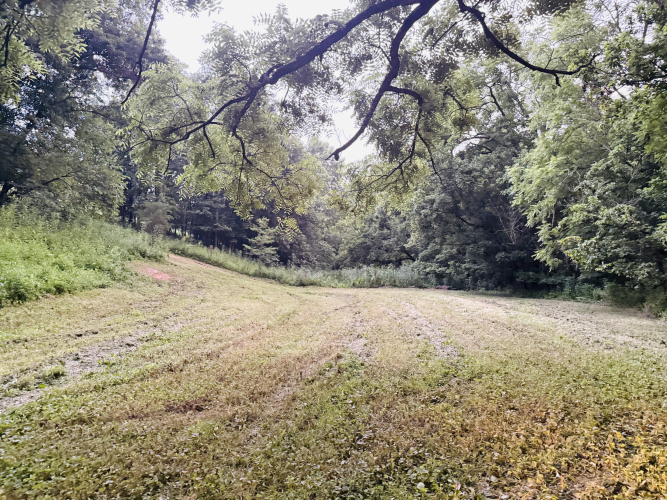 Listing Image 69