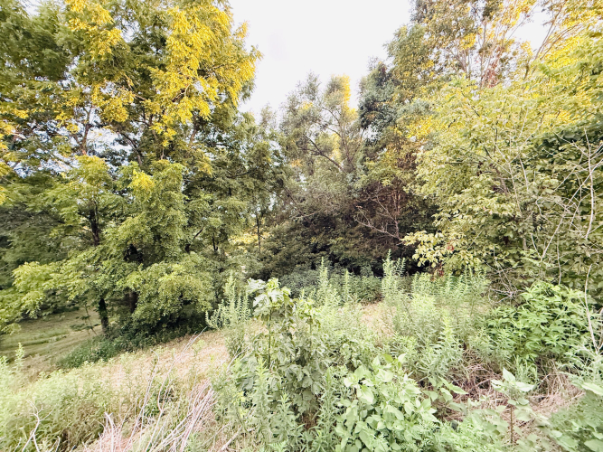 Listing Image 76