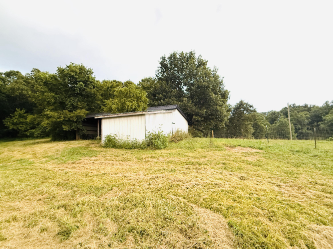Listing Image 94