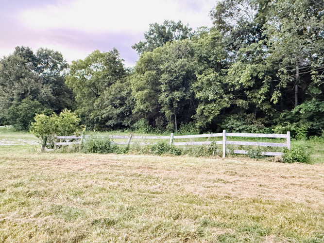 Listing Image 64