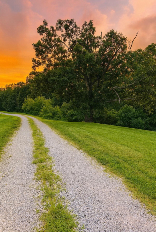 Listing Image 29