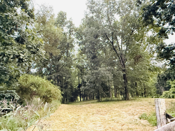 Listing Image 67