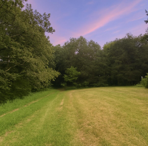 Listing Image 79