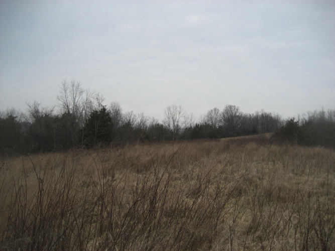 Listing Image 26