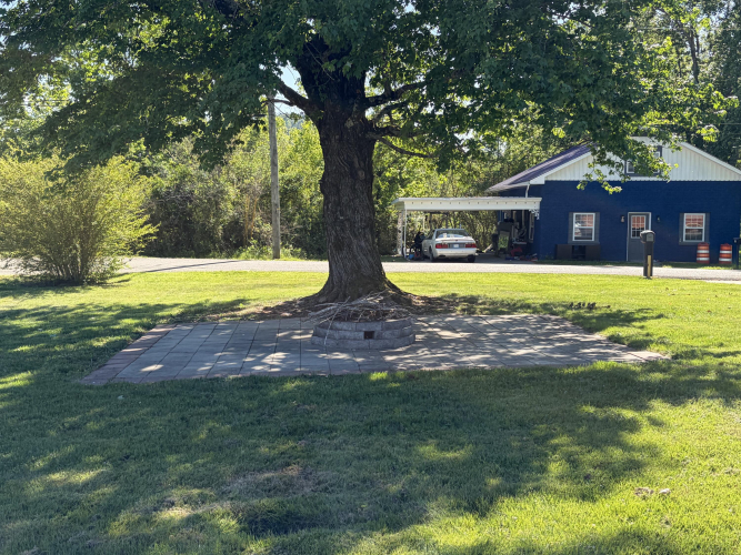 Listing Image 12
