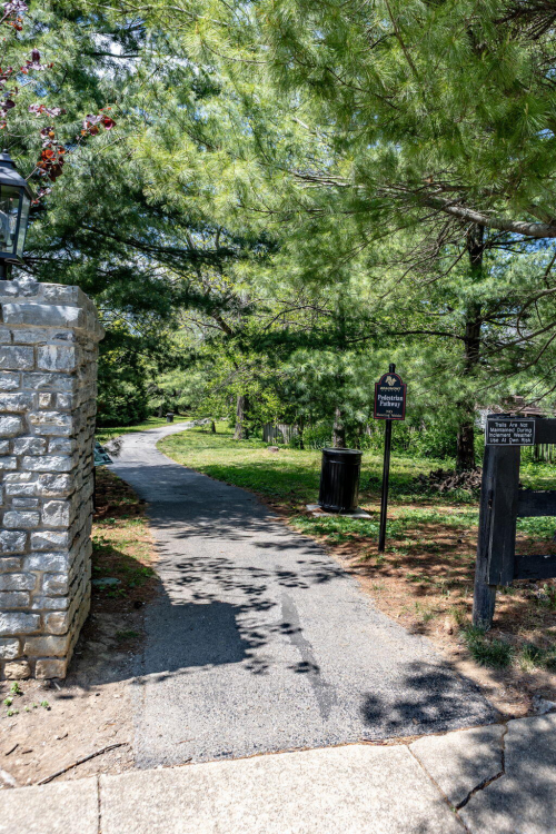 Listing Image 96
