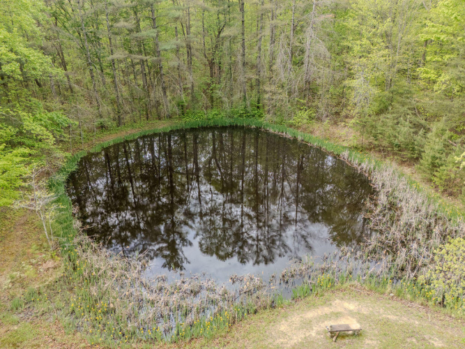 Listing Image 53