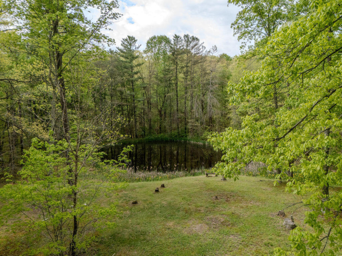 Listing Image 51