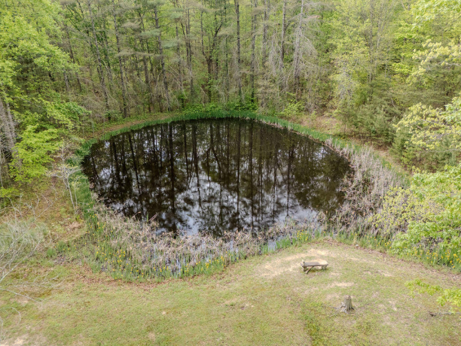 Listing Image 54