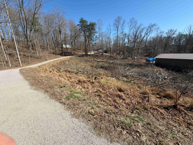 Listing Image 11