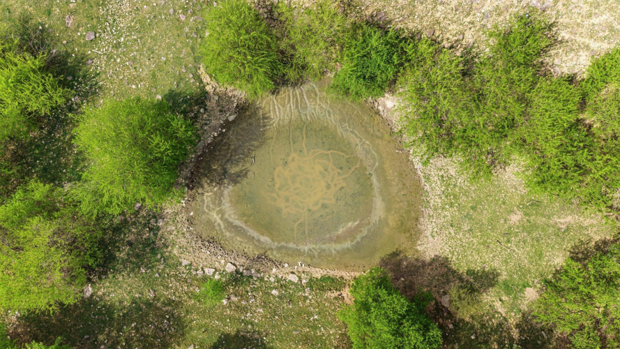 Listing Image 21