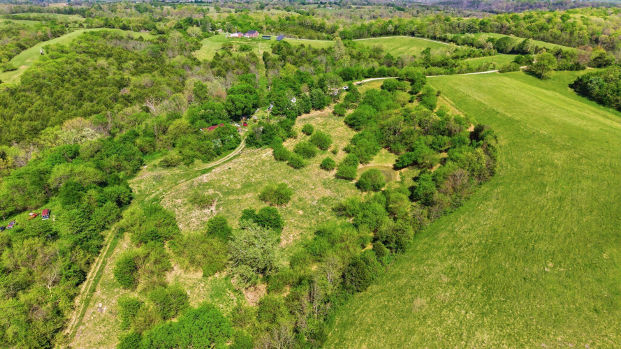 Listing Image 23