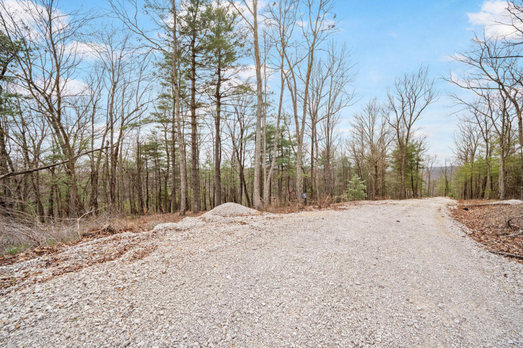 Listing Image 25