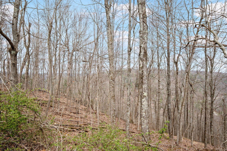 Listing Image 27