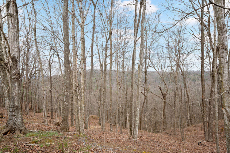 Listing Image 28