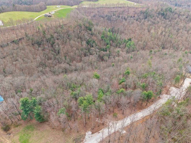 Listing Image 4