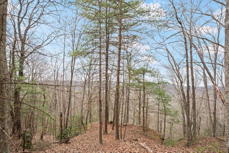 Listing Image 24